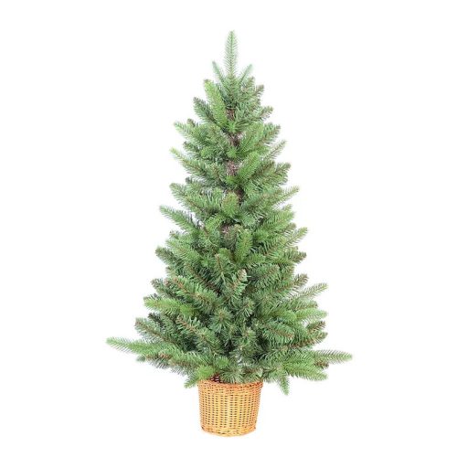 Douglas Mini pine 90 cm